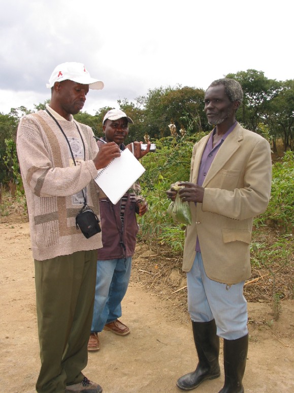 Malawian farmer interview